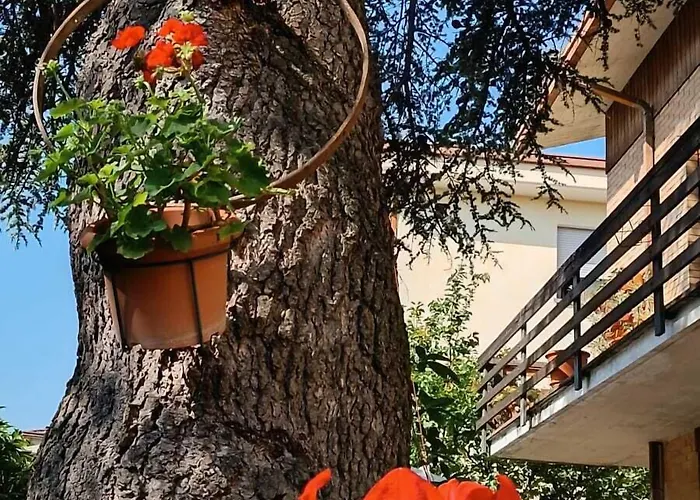 B&B Il Cedro Foligno